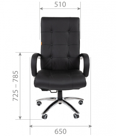 CHAIRMAN_424_s1