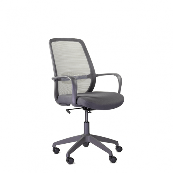 ponti_pl_gray_02